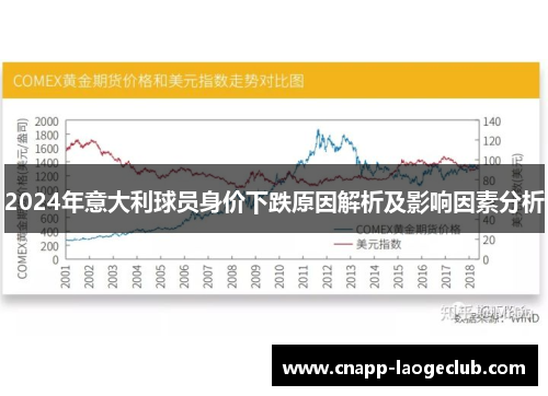 2024年意大利球员身价下跌原因解析及影响因素分析 2024年意大利球员身价下跌原因解析及影响因素分析