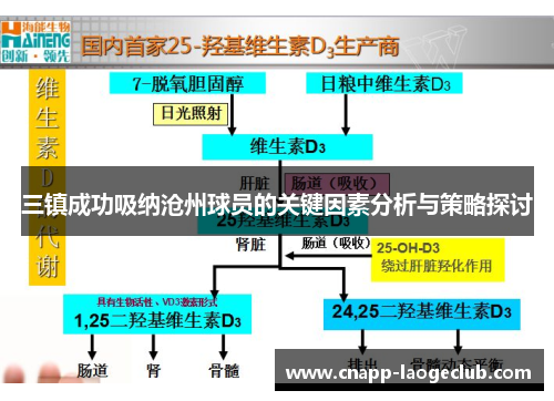 三镇成功吸纳沧州球员的关键因素分析与策略探讨 三镇成功吸纳沧州球员的关键因素分析与策略探讨