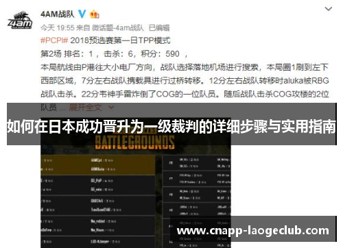 如何在日本成功晋升为一级裁判的详细步骤与实用指南 如何在日本成功晋升为一级裁判的详细步骤与实用指南