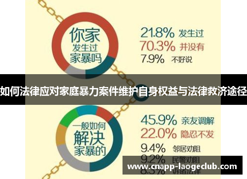 如何法律应对家庭暴力案件维护自身权益与法律救济途径