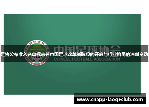 足协公布准入名单标志着中国足球改革新阶段的开启与行业格局的深刻变动 足协公布准入名单标志着中国足球改革新阶段的开启与行业格局的深刻变动