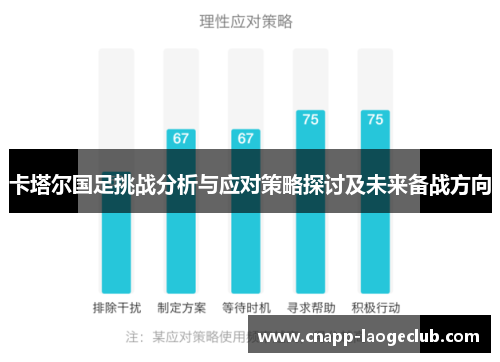 卡塔尔国足挑战分析与应对策略探讨及未来备战方向