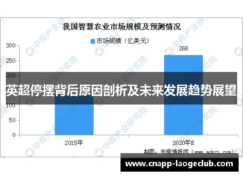 英超停摆背后原因剖析及未来发展趋势展望