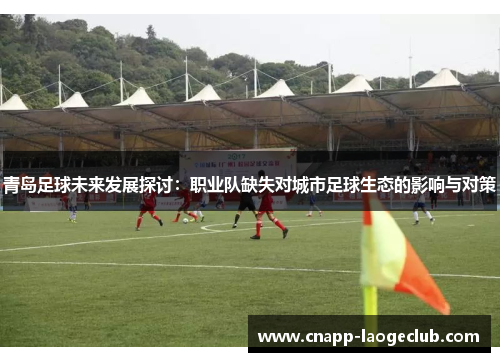 青岛足球未来发展探讨：职业队缺失对城市足球生态的影响与对策