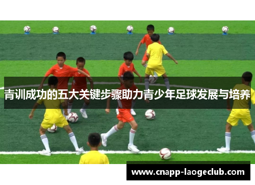 青训成功的五大关键步骤助力青少年足球发展与培养