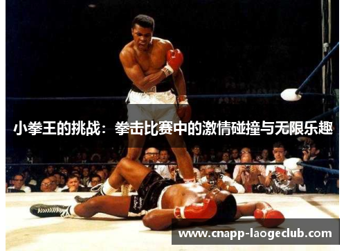 小拳王的挑战:拳击比赛中的激情碰撞与无限乐趣 小拳王的挑战:拳击比赛中的激情碰撞与无限乐趣