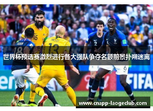世界杯预选赛激烈进行各大强队争夺名额前景扑朔迷离 世界杯预选赛激烈进行各大强队争夺名额前景扑朔迷离