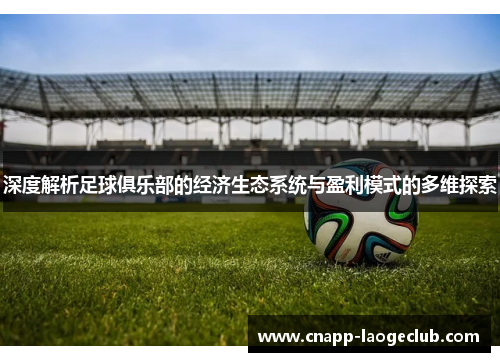 深度解析足球俱乐部的经济生态系统与盈利模式的多维探索 深度解析足球俱乐部的经济生态系统与盈利模式的多维探索