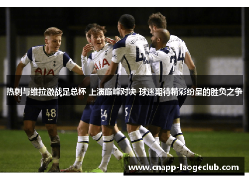 热刺与维拉激战足总杯 上演巅峰对决 球迷期待精彩纷呈的胜负之争 热刺与维拉激战足总杯 上演巅峰对决 球迷期待精彩纷呈的胜负之争