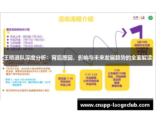王皓退队深度分析：背后原因、影响与未来发展趋势的全面解读